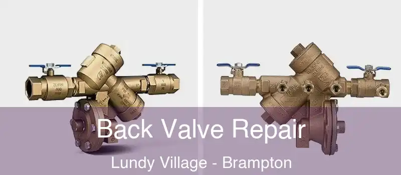  Back Valve Repair Lundy Village - Brampton
