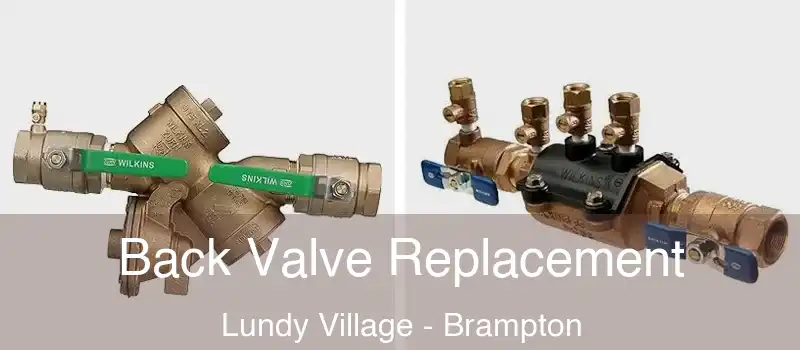  Back Valve Replacement Lundy Village - Brampton