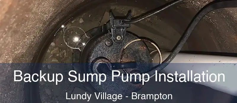  Backup Sump Pump Installation Lundy Village - Brampton