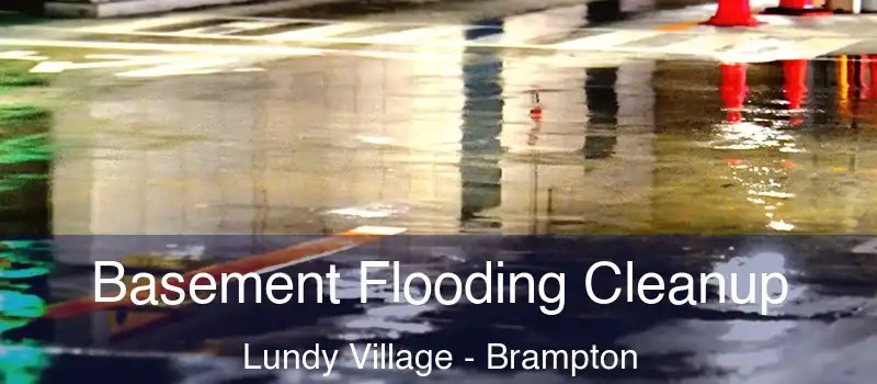  Basement Flooding Cleanup Lundy Village - Brampton