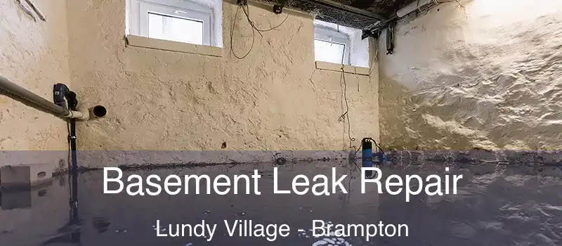  Basement Leak Repair Lundy Village - Brampton