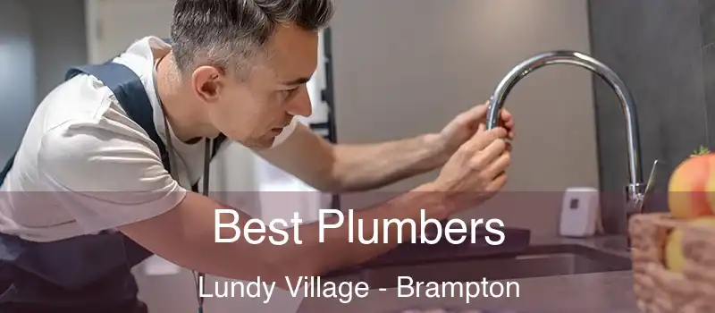  Best Plumbers Lundy Village - Brampton