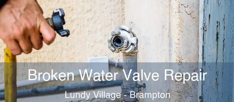  Broken Water Valve Repair Lundy Village - Brampton