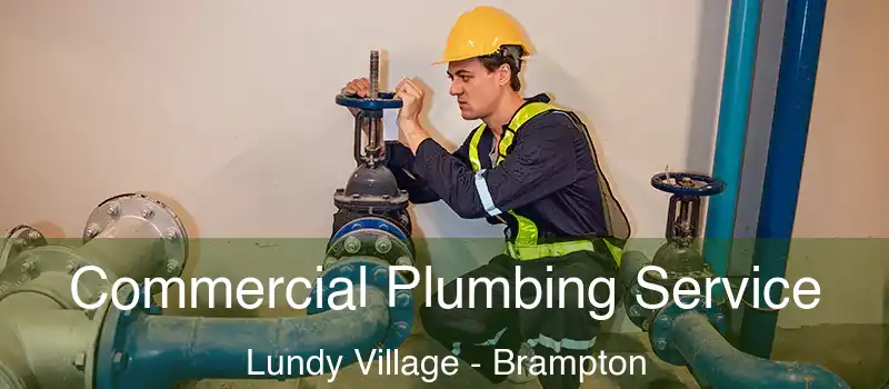  Commercial Plumbing Service Lundy Village - Brampton