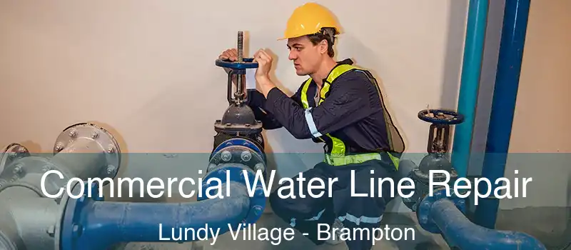  Commercial Water Line Repair Lundy Village - Brampton