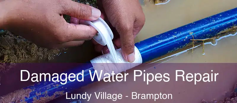  Damaged Water Pipes Repair Lundy Village - Brampton