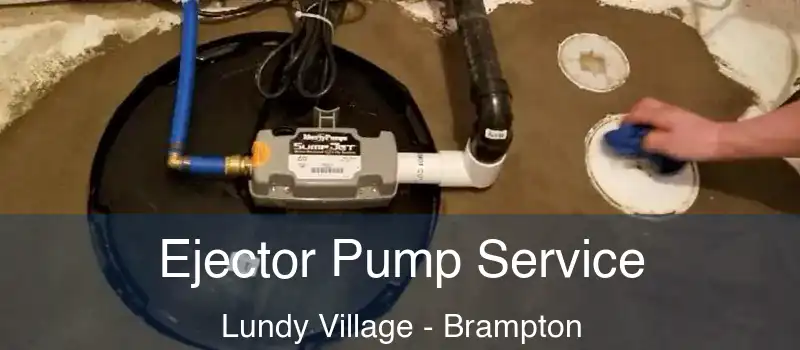  Ejector Pump Service Lundy Village - Brampton