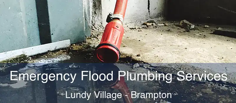  Emergency Flood Plumbing Services Lundy Village - Brampton