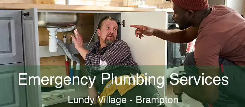  Emergency Plumbing Services Lundy Village - Brampton