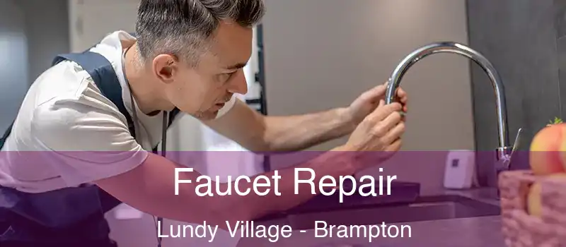  Faucet Repair Lundy Village - Brampton