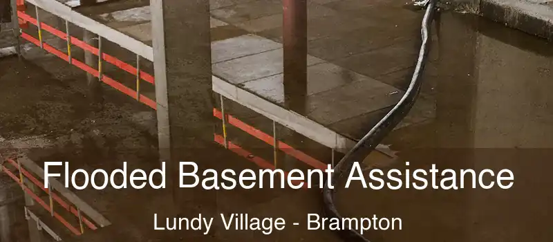  Flooded Basement Assistance Lundy Village - Brampton