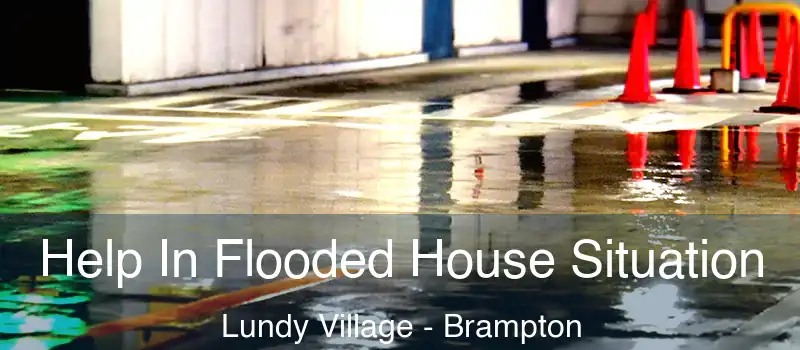  Help In Flooded House Situation Lundy Village - Brampton