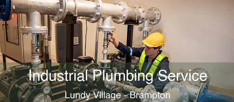  Industrial Plumbing Service Lundy Village - Brampton