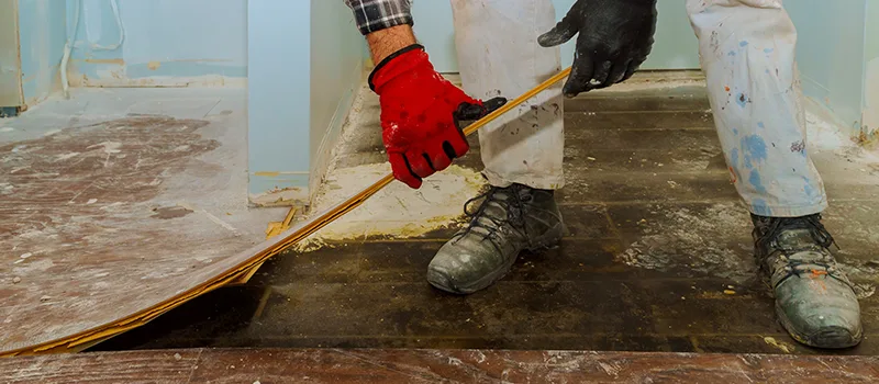 Cost Of Flooded Basement Cleanup in Lundy Village, Brampton