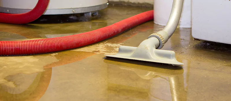 Professional Sewer Backup Cleanup Services in Lundy Village, Brampton