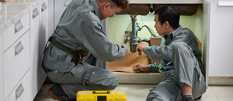 Commercial Bonded and Insured Plumber Services in Lundy Village, Brampton