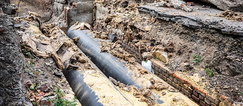 Commercial Sewer Tree Roots Damage Solutions in Lundy Village, Brampton