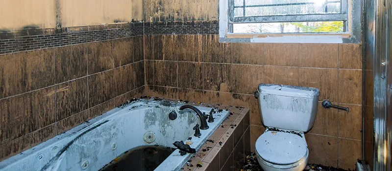 Residential Water Damage Restoration in Lundy Village, Brampton