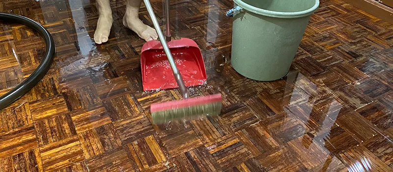 Water Removal And Restoration Services in Lundy Village, Brampton