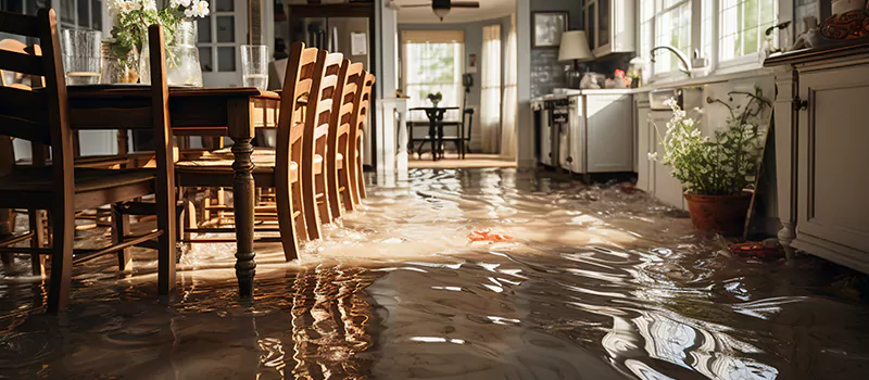 Flooded House Help Near Me in Lundy Village, Brampton
