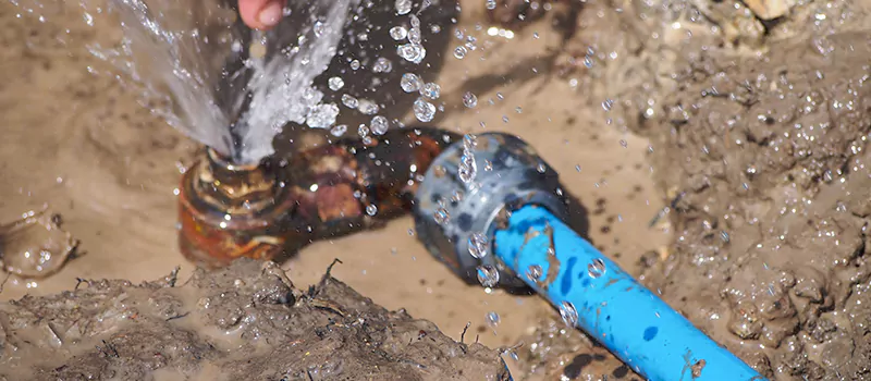 Reasons to Replace Your Lead Pipes in Lundy Village, Brampton