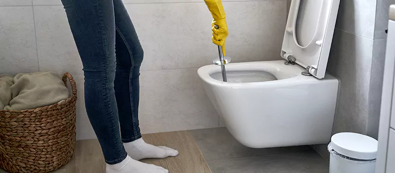 Toilet Flush Valve Installation Services in Lundy Village, Brampton