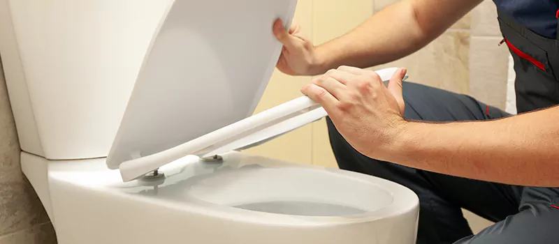 Damaged Toilet Parts Replacement Services in Lundy Village, Brampton