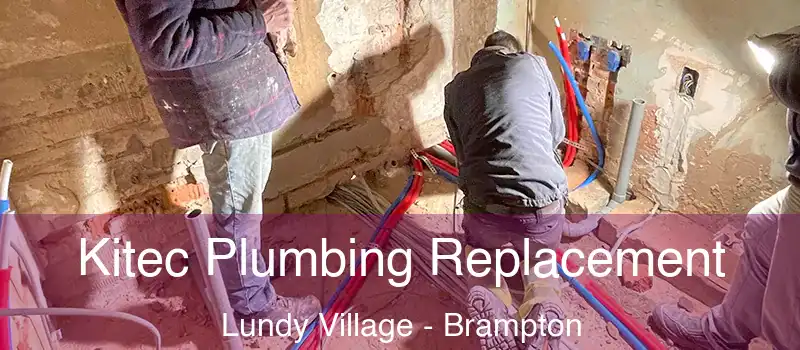  Kitec Plumbing Replacement Lundy Village - Brampton