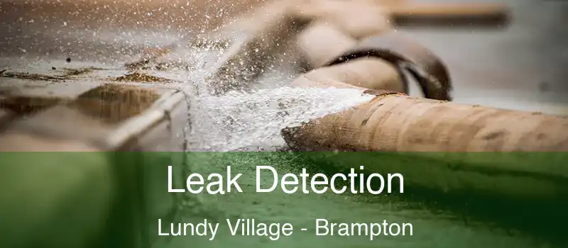  Leak Detection Lundy Village - Brampton