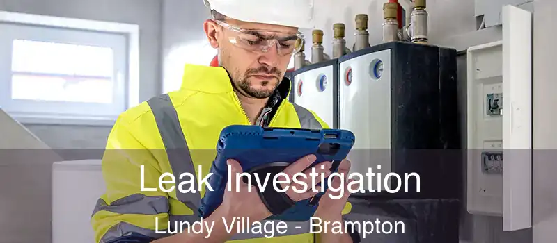 Leak Investigation Lundy Village - Brampton