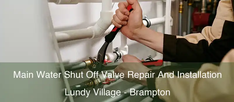  Main Water Shut Off Valve Repair And Installation Lundy Village - Brampton