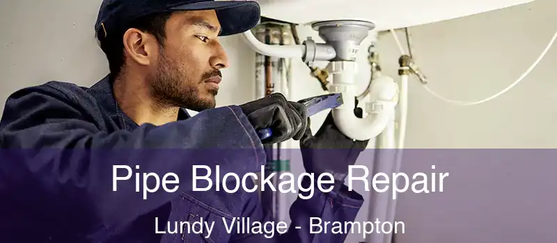  Pipe Blockage Repair Lundy Village - Brampton