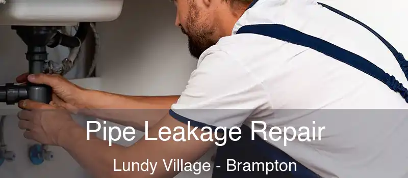  Pipe Leakage Repair Lundy Village - Brampton