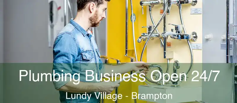  Plumbing Business Open 24/7 Lundy Village - Brampton