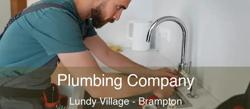  Plumbing Company Lundy Village - Brampton