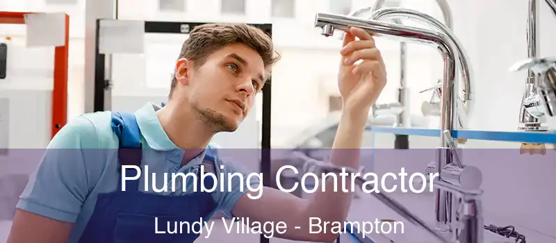  Plumbing Contractor Lundy Village - Brampton