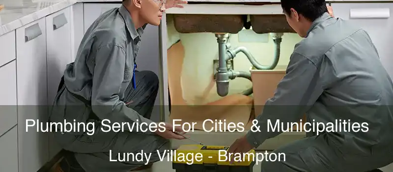  Plumbing Services For Cities & Municipalities Lundy Village - Brampton