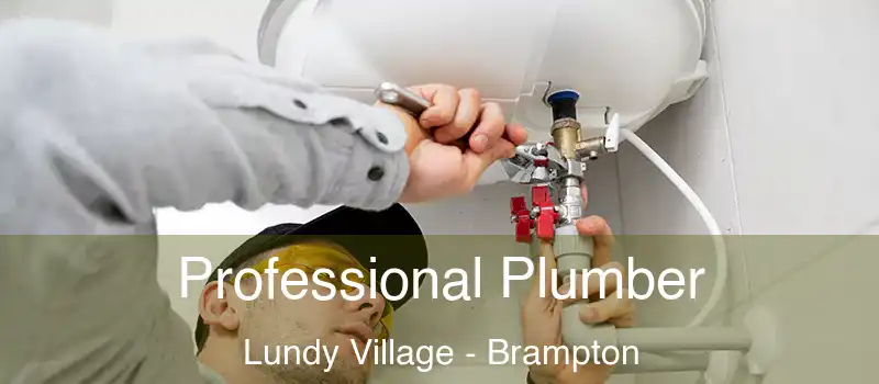 Professional Plumber Lundy Village - Brampton