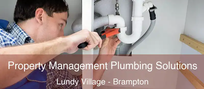  Property Management Plumbing Solutions Lundy Village - Brampton