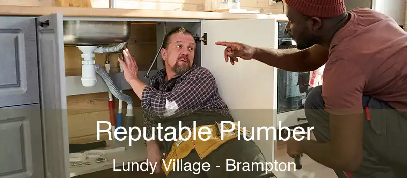  Reputable Plumber Lundy Village - Brampton