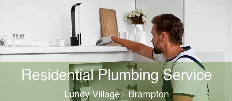  Residential Plumbing Service Lundy Village - Brampton