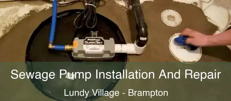  Sewage Pump Installation And Repair Lundy Village - Brampton