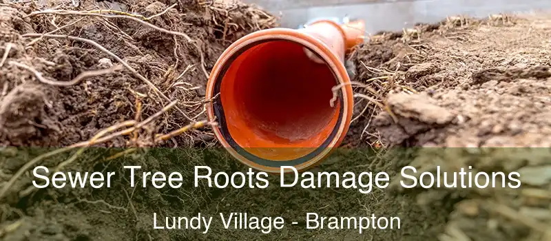  Sewer Tree Roots Damage Solutions Lundy Village - Brampton