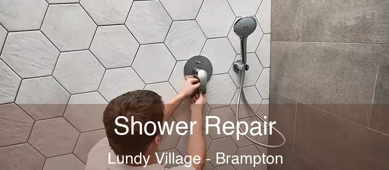  Shower Repair Lundy Village - Brampton
