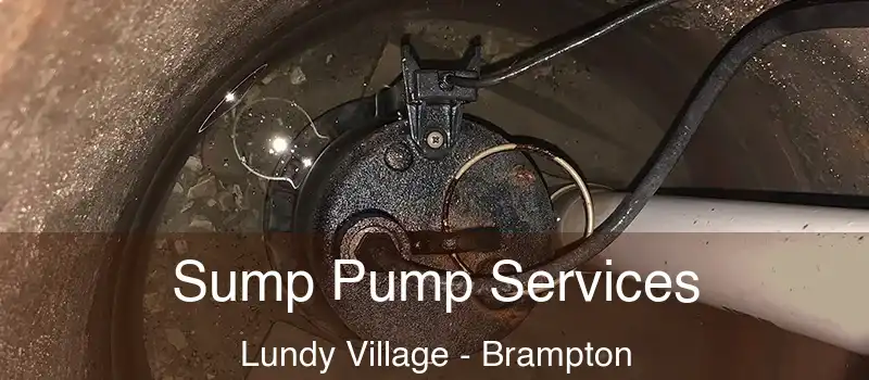  Sump Pump Services Lundy Village - Brampton