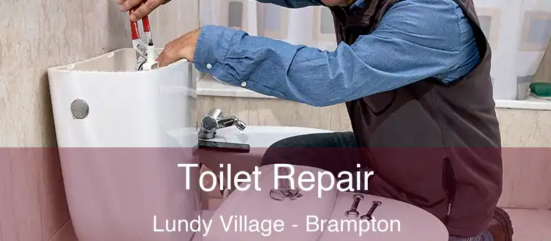  Toilet Repair Lundy Village - Brampton