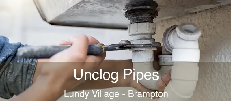  Unclog Pipes Lundy Village - Brampton