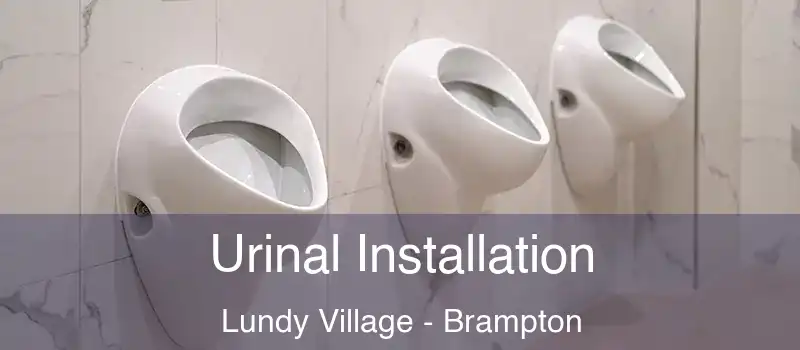  Urinal Installation Lundy Village - Brampton
