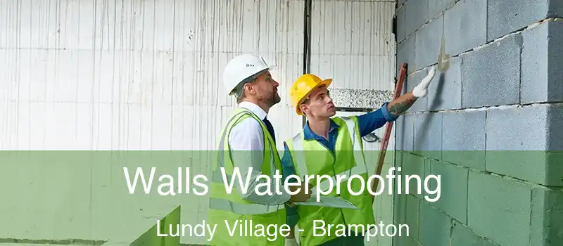  Walls Waterproofing Lundy Village - Brampton