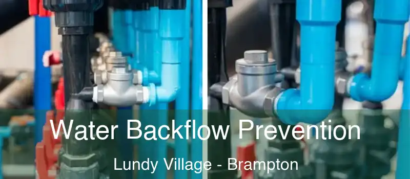  Water Backflow Prevention Lundy Village - Brampton